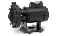 Pentair Booster Pump 115/230V - LA01N
