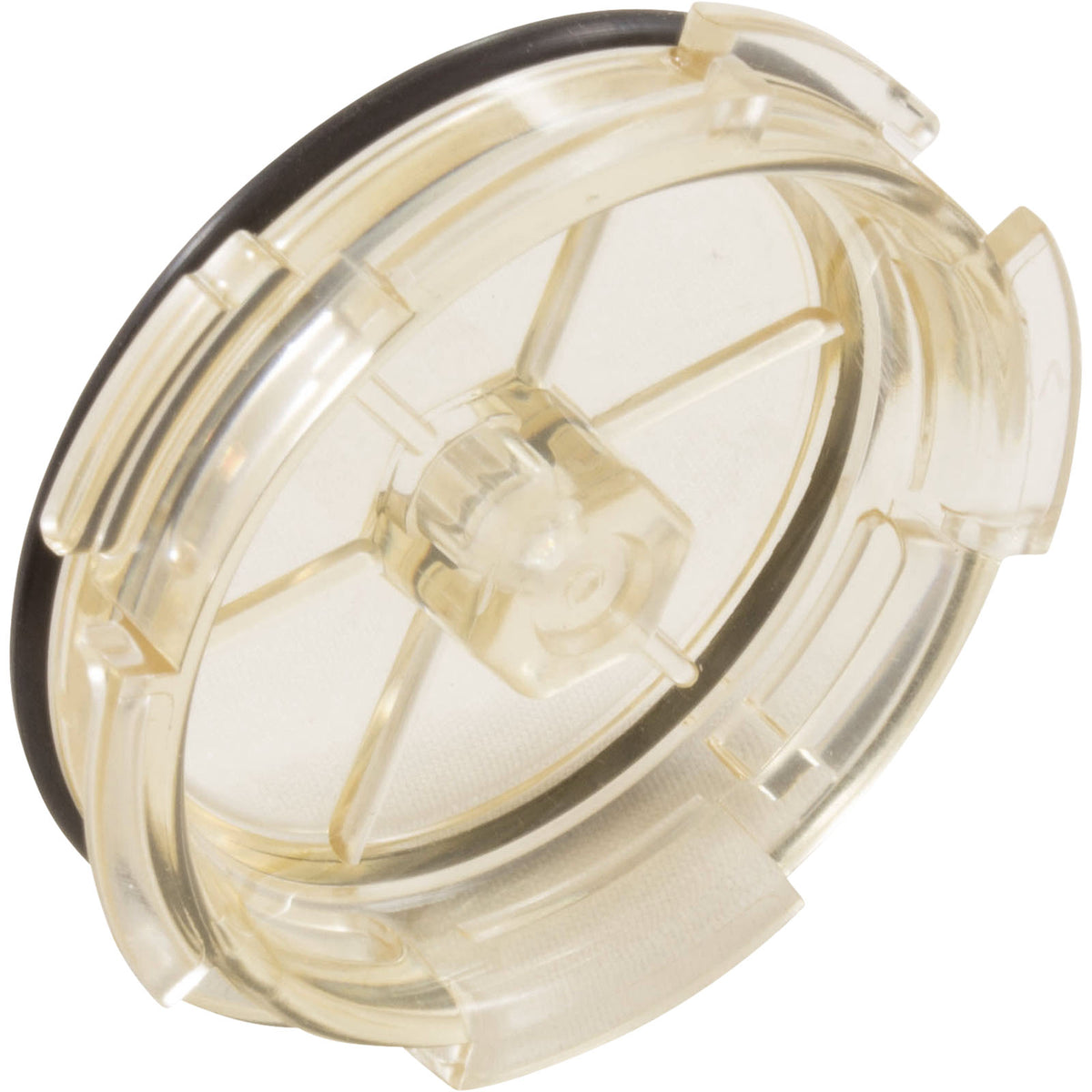 Hayward Lens-Clear and O-Ring - CAX-20204