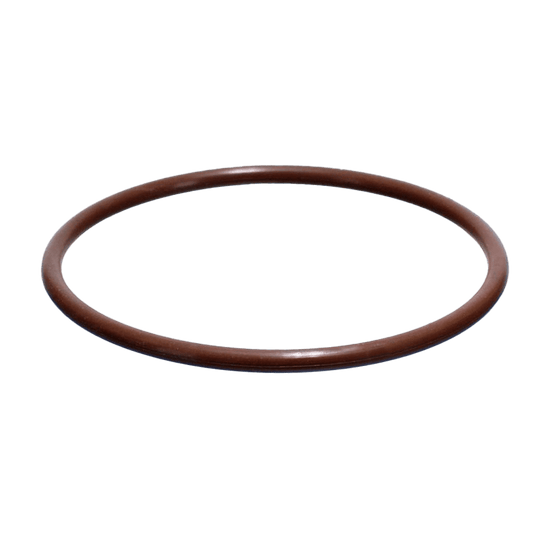CMP PowerClean Ultra Chlorinator Cover O-Ring | 26101-060-530