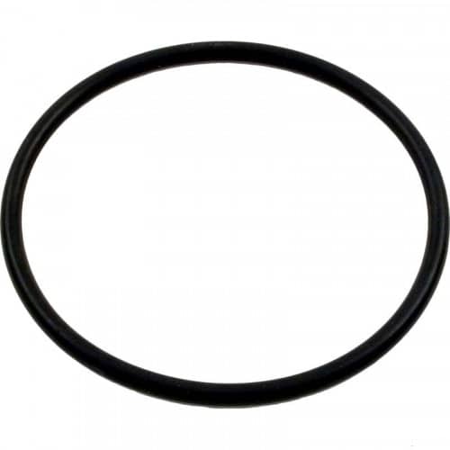 Cmp Salt Cell O-Ring For Powerclean | 52000-200-101
