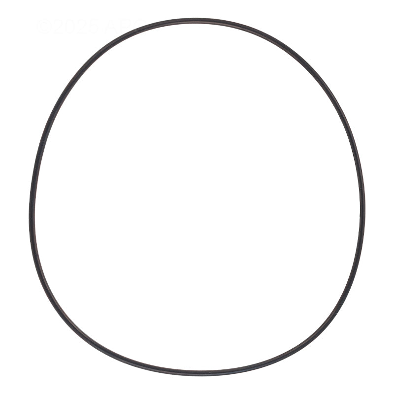 Zodiac 1-13-39 O-Ring For Polaris Caretaker Leaf-B-Gone