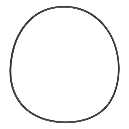 Zodiac 1-13-39 O-Ring For Polaris Caretaker Leaf-B-Gone