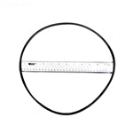 HaywardÂ® CXFHR1001 SwimClearâ¢ Lid O-Ring
