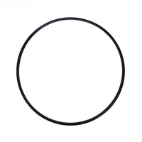 Hayward Filter Tank Seal Metal Reinforced - DEX2422Z2