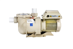 Pentair SuperFlo Variable Speed Pump EC-342001