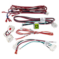 Hayward H-Series Wire Harness Assembly - FDXLWHA1931