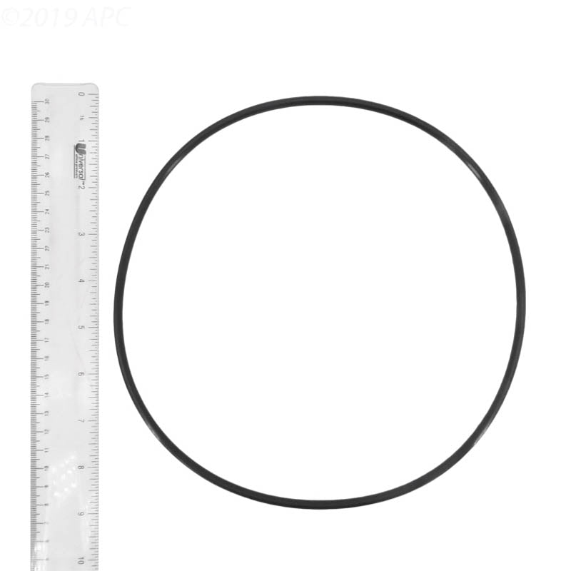 Hayward Pump Lid O-Ring - HCXP6014A