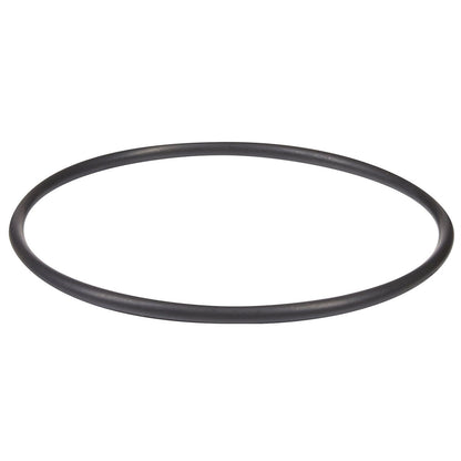 Hayward Salt Cell O-Ring | GLX-DIY-ORING