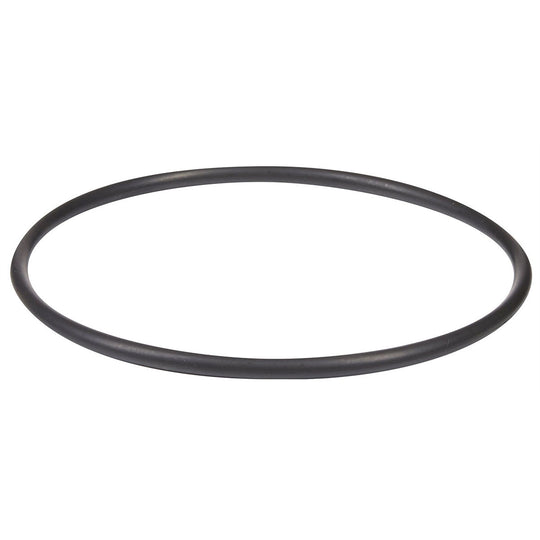 Hayward Salt Cell O-Ring | GLX-DIY-ORING