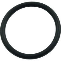 Hayward O-Ring - SPX0410Z2