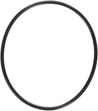Hayward O-Ring - SPX0704F