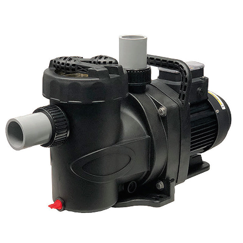 Speck Badu Pro-Ii Pump with 2" Union 1THP 1SP - IG371-1100T-T00