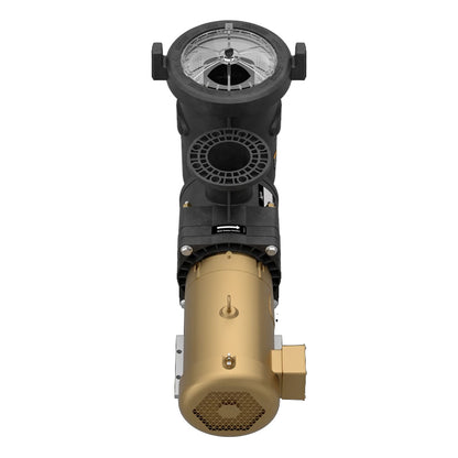 Jandy 3PH TEFC Jcp Pump W/strainer 5HP 208-230V/460V - JCP053ATS