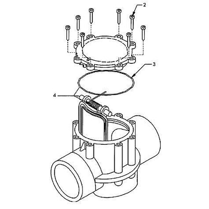 Jandy 2"-2 1/2" 180 Degree Check Valve 7305 parts diagram