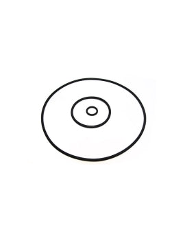 Pentair/Purex Noryl Rotor O-Ring Kit - V20-353S