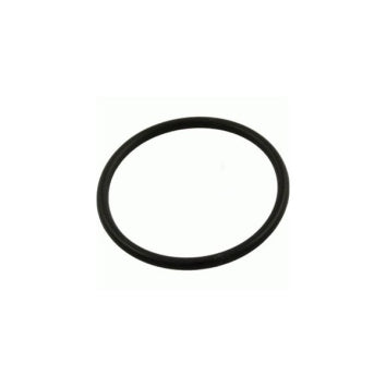Pentair/Purex Whisperflo Pump Lid O-Ring N/S - V20-389S