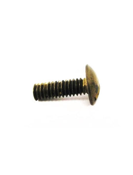 Sta-rite Impeller Locking Screw - V26-352S