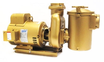 Val-Pak Martin 500 Series 5 HP Pump & Motor 60 Cycle 1 Phase - V40-537