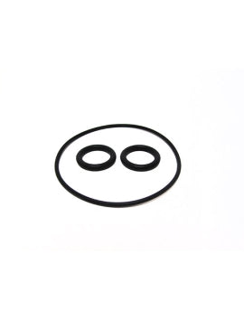 Pentair Ortega Valve O-Ring Set 2" - V20-332S