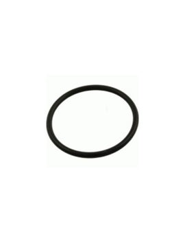 Hayward Standard/Large Canister Lid O-Ring - V60-302S