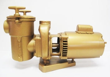 Val-Pak Martin 100 Series 1 HP Pump & Motor 60/50 Hz 5" Trap 2" Suction 115/230v 1 PH TEFC - V40-507-T
