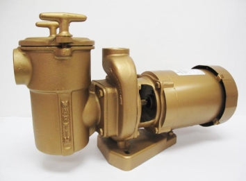 Val-Pak Martin 100 Series 2 HP Pump & Motor 60/50 Hz 5" Trap 2" Suction (67 lb) 230/460v 3 PH TEFC - V40-509-T3