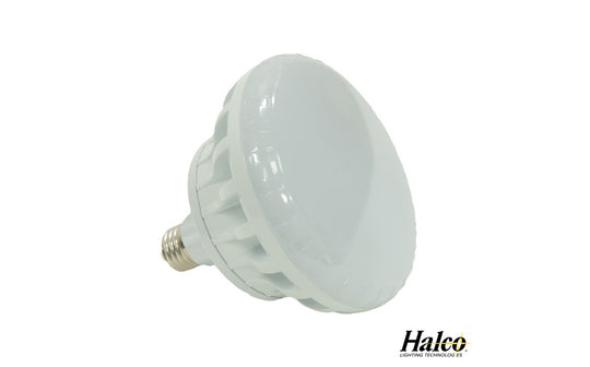 Halco LLWP-120-3 White LED R40 Pool Lamp 120V 300W