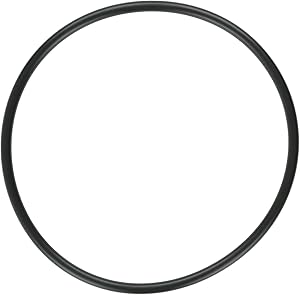 Aladdin Strainer Cover O-Ring Hayward Powerflo - O-231-9