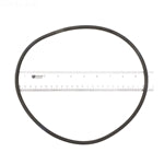 Pentair Clean & Clear Filter Tank O-Ring 87300400Z - O-343-9