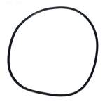 Pentair Clean & Clear Plus Filter Tank O-Ring 39010200 - O-497-9