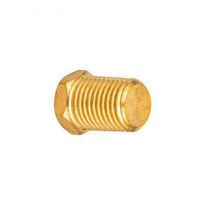 Pentair Brass Drain Plug 1/4" - P0026800