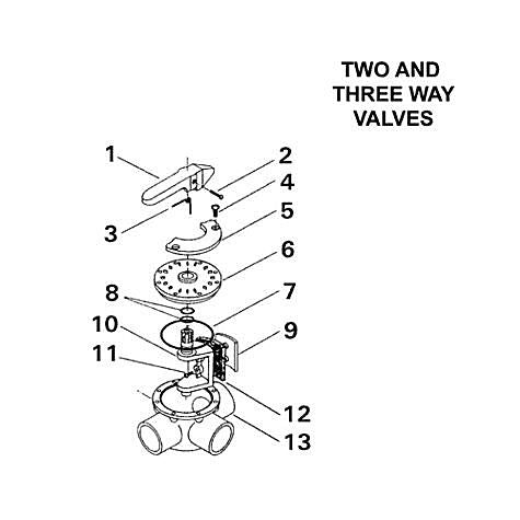 Pentair 2.50" 2-Port CPVC Diverter Valve 263027 parts diagram