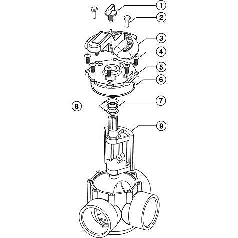 Pentair 2" Straight CPVC Check Valve 263042 parts diagram