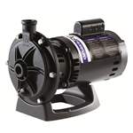 Polaris Booster Pump PB460