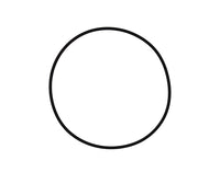 Pentair Tagelus/Triton Lid O-Ring - 152517