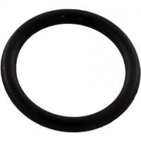 Pentair O-Ring Drain Plug - 192115Z
