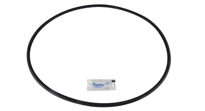 Pentair Tank Body O-Ring for PLD, PLDE and PLM Filter Systems - 27001-0061S