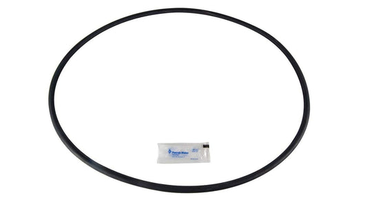 Pentair Tank Body O-Ring for PLD, PLDE and PLM Filter Systems - 27001-0061S