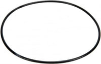 Pentair Water Pool and Spa Inc Top Valve O-Ring 2