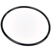 Pentair Pump Lid O-Ring - 350013Z