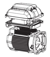 Pentair SuperMax VS Pump Motor Package w/ o Drive TEFC Black - 353135S