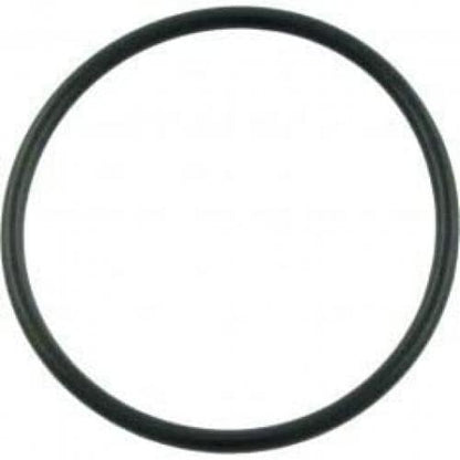 Pentair WhisperFlo #238 Diffuser O-Ring | 355227Z