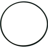 Pentair Pinnacle/SuperFlo Seal Plate O-Ring - 355619Z