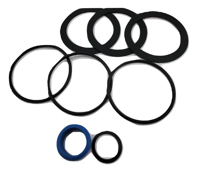 Pentair Kit O-Ring Svc Single | 523031