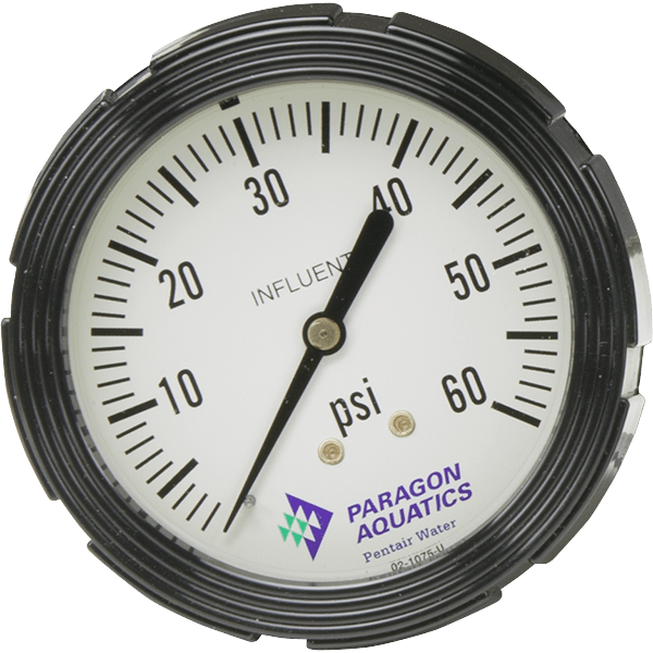 Pentair Paragon Aquatics Influent Pressure Gauge Stark - B4615