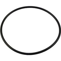 Pentair Rainbow Leaf Trap O-Ring - R172223