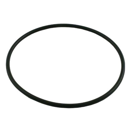 Pentair O-Ring #360 Abs Buna | R172223