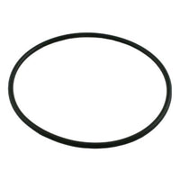 Pentair O-Ring #360 Abs Buna - R172223