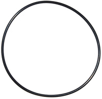 Pentair Seal Plate O-Ring - U9-228AZ