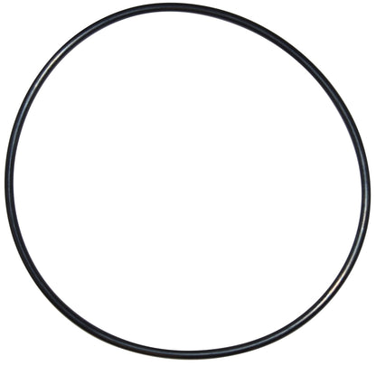 Pentair Seal Plate O-Ring | U9-228AZ